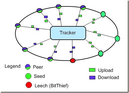 Seed و Peer در شبکه‌ی تورنت