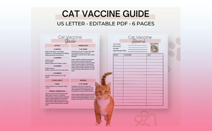 راهنمای جامع واکسن زدن گربه
