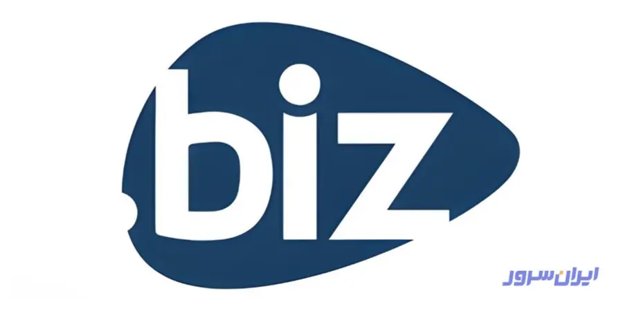 دامنه .biz چیست؟ راهنمای ثبت دامنه بیزینسی برای کسب‌وکارها
