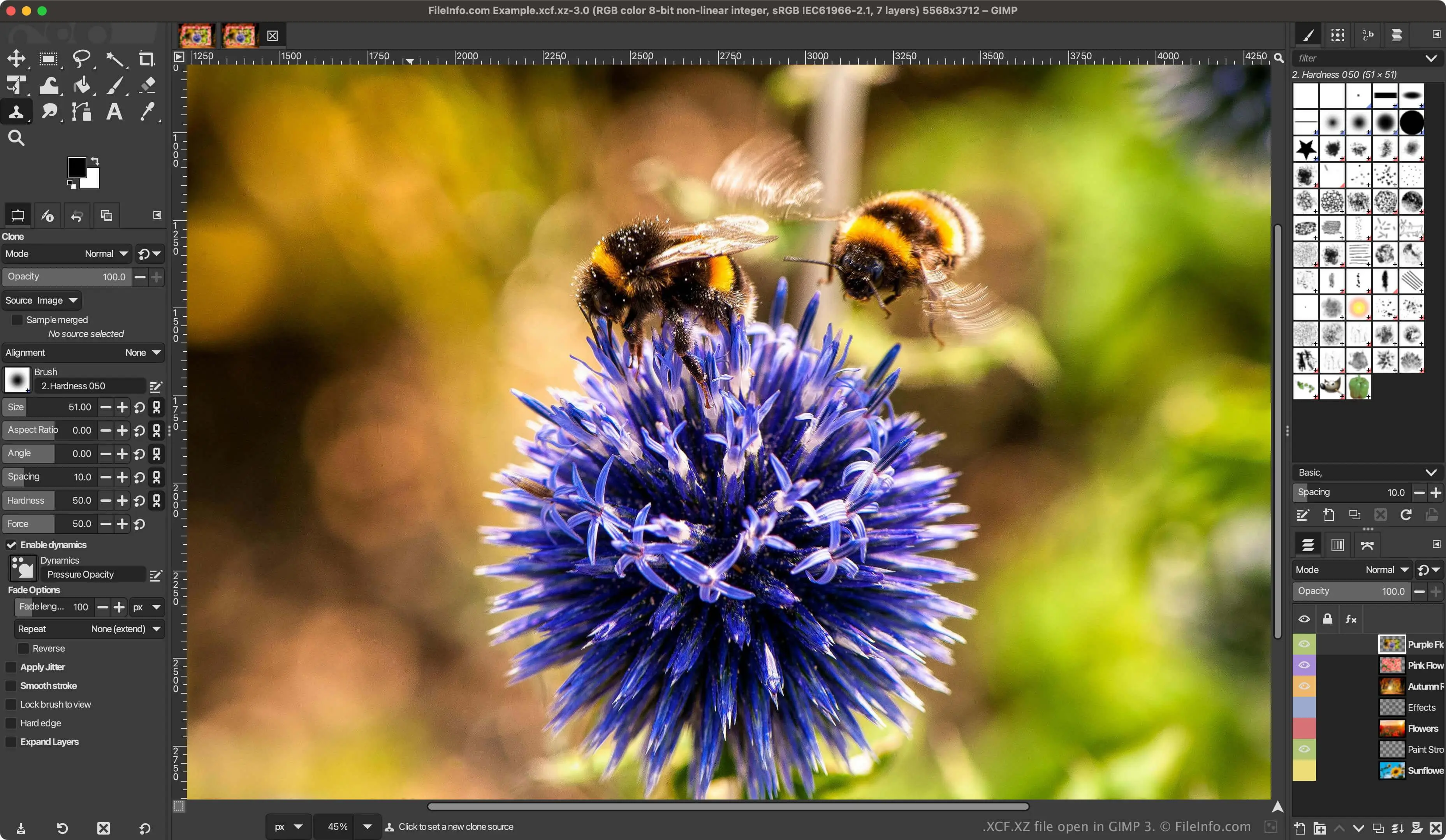 بهترین جایگزین متن‌باز فتوشاپ برای ویندوز؛ PhotoDemon یا GIMP و Krita