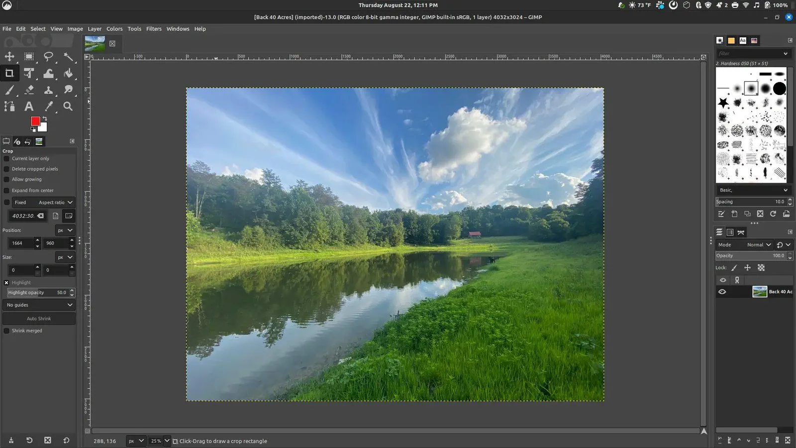 بهترین جایگزین متن‌باز فتوشاپ برای ویندوز؛ PhotoDemon یا GIMP و Krita