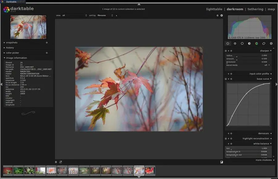 بهترین جایگزین متن‌باز فتوشاپ برای ویندوز؛ PhotoDemon یا GIMP و Krita